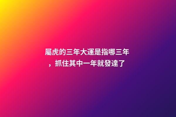 屬虎的三年大運是指哪三年，抓住其中一年就發達了